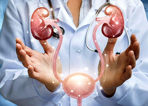Urology Urology