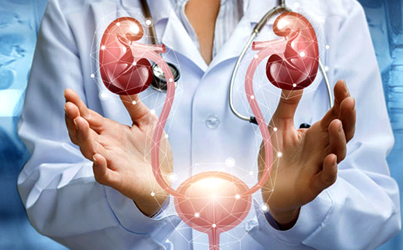 Urology